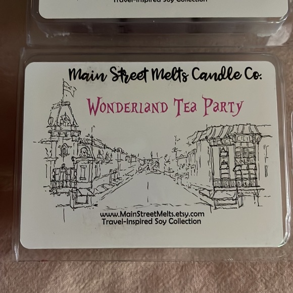4 Disney Scentsy Bars and 3 Disney Small Shop Wax Melts - Picture 7 of 10